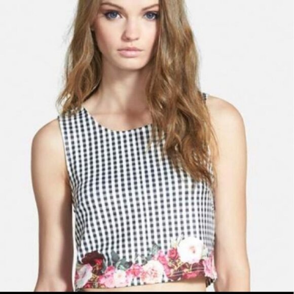 MINKPINK Tops - Minkpink Garden Bed Picnic gingham check Crop top